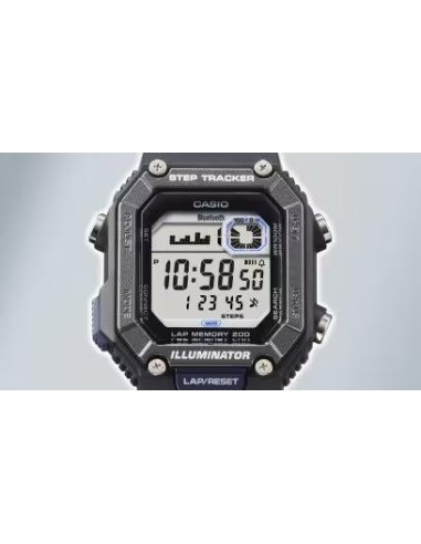 WS-B1000-21VEF