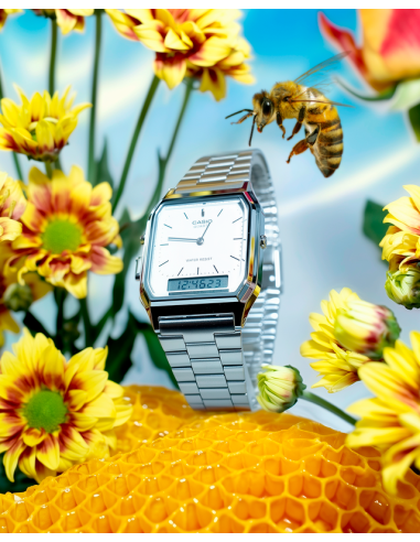 VINTAGE|NOVEDAD AQ-230EGG-2AEF