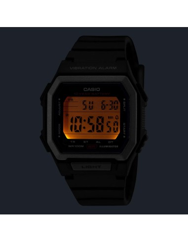 Casio W-738 | Watch with vibration alarm and 10 bar water resistance