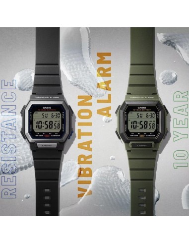 Casio W-738 | Watch with vibration alarm and 10 bar water resistance