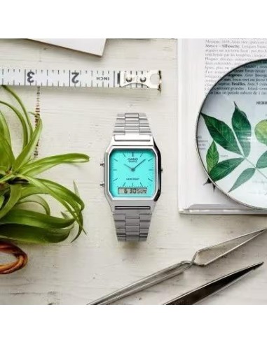 VINTAGE|NOVEDAD AQ-230EGG-2AEF